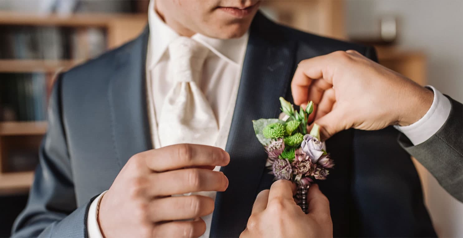 Ansteckblume Ansteckblume